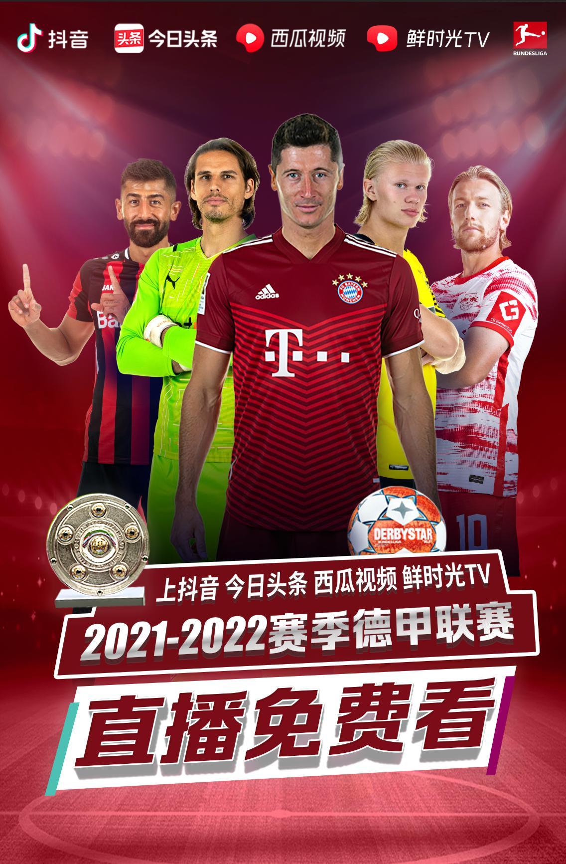 豹为何选